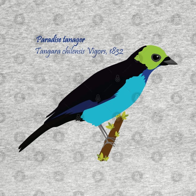 Paradise tanager bird by uncutcreations